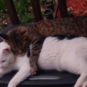 Meet your Posher, Grace